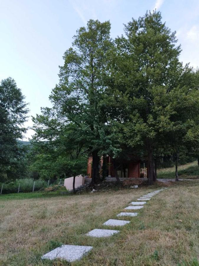 Kuca U Sumi - Forest House Near National Park Una - Air Spa Lohovo Bihać Eksteriør bilde