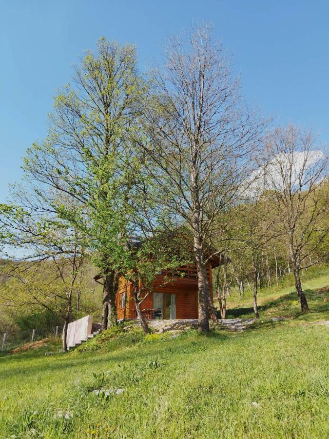 Kuca U Sumi - Forest House Near National Park Una - Air Spa Lohovo Bihać Eksteriør bilde
