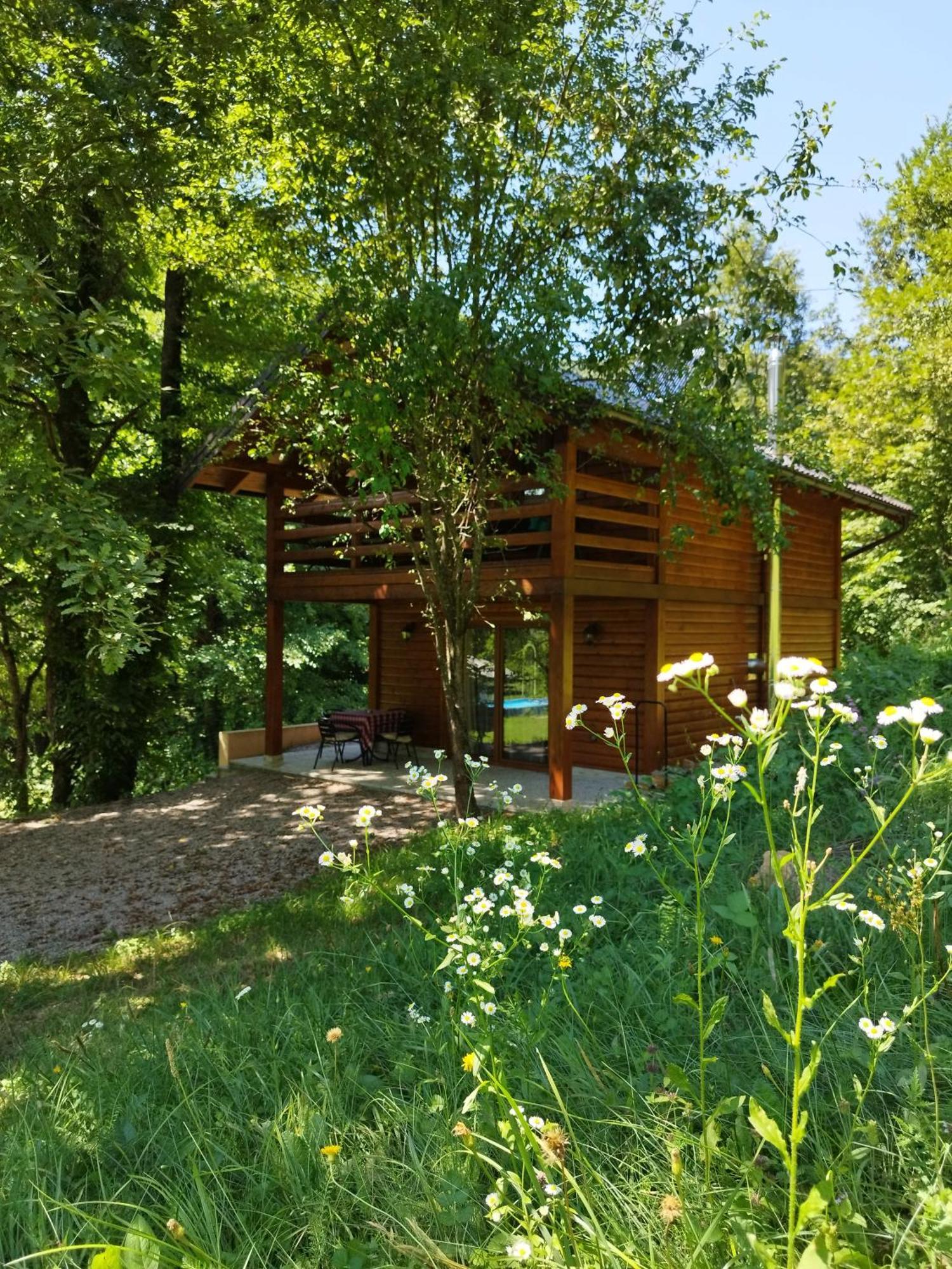 Kuca U Sumi - Forest House Near National Park Una - Air Spa Lohovo Bihać Eksteriør bilde