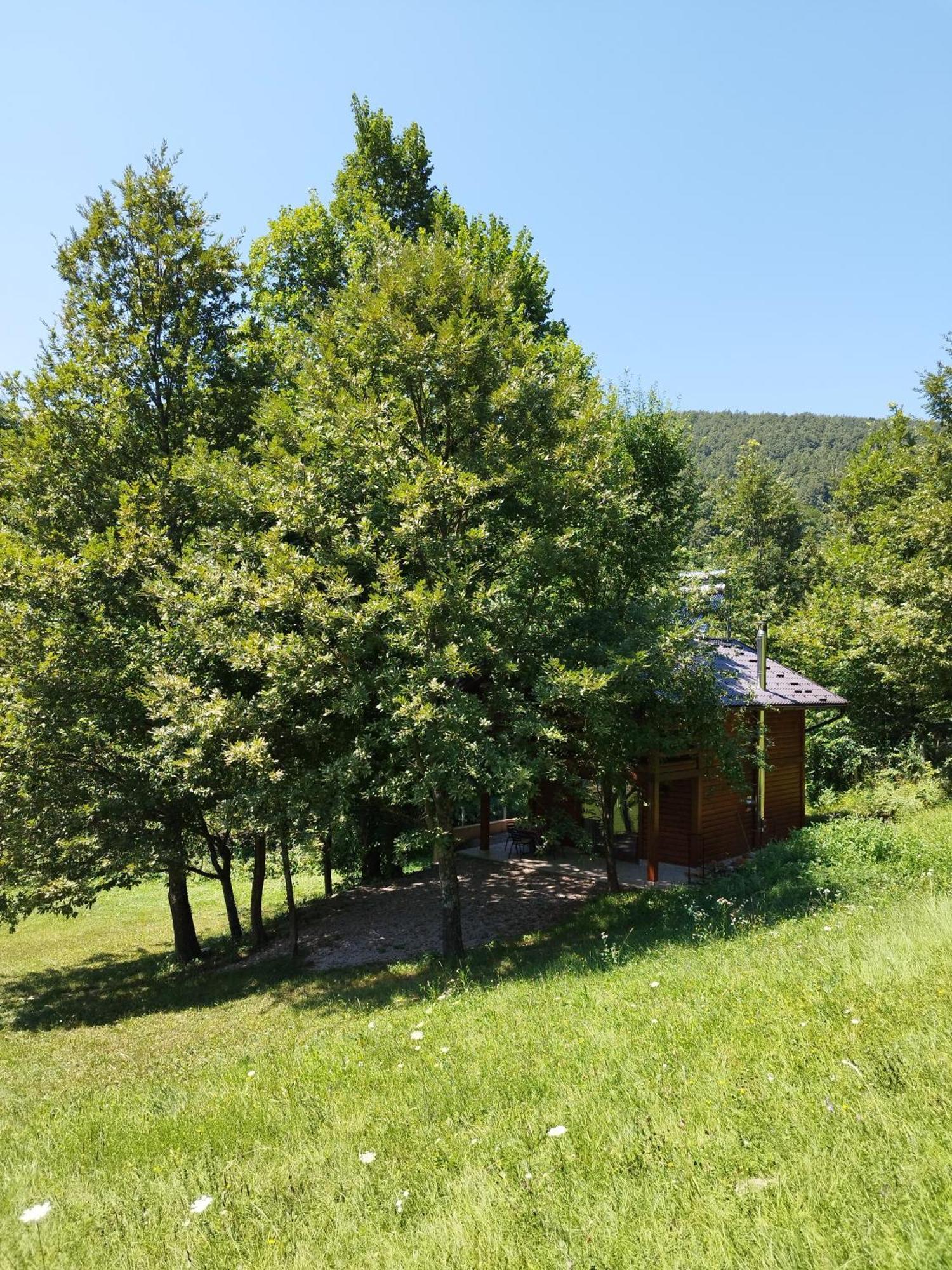 Kuca U Sumi - Forest House Near National Park Una - Air Spa Lohovo Bihać Eksteriør bilde